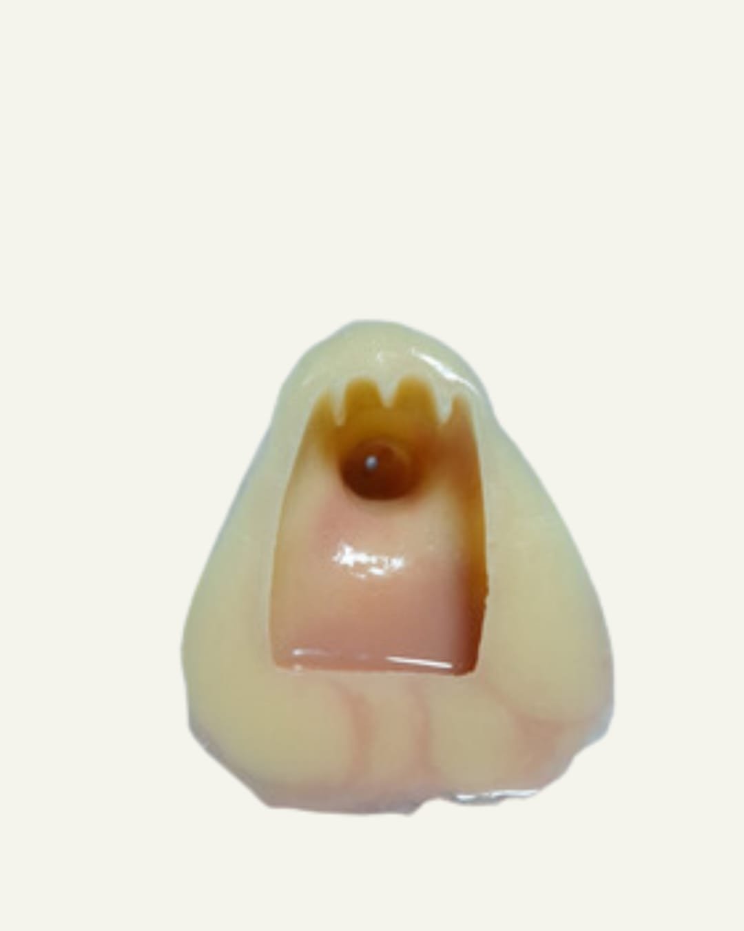 Pack Centauro - Image 3